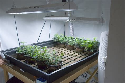 indoor grow room ideas